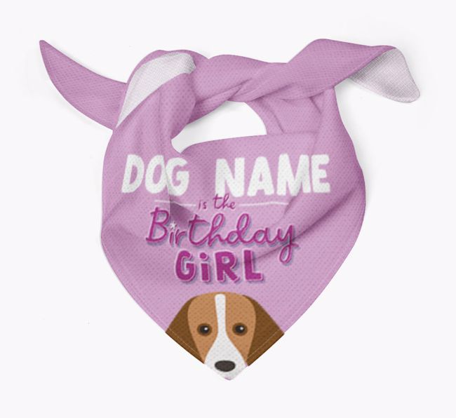 Birthday Girl: Personalised {breedFullName} Bandana